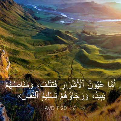 Picture 03 - أَيُّوبَ 11:20 AVD - أَمَّا عُيُونُ - Bible Verse Picture