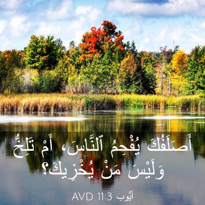 Picture 03 - أَيُّوبَ 11:3 AVD - أَصَلَفُكَ يُفْحِمُ - Bible Verse Picture