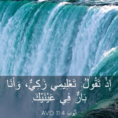 Picture 03 - أَيُّوبَ 11:4 AVD - إِذْ تَقُولُ: تَعْلِيمِي - Bible Verse Picture
