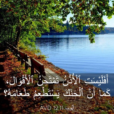 Picture 03 - أَيُّوبَ 12:11 AVD - أَفَلَيْسَتِ ٱلْأُذُنُ - Bible Verse Picture