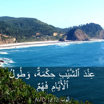 Picture 03 - أَيُّوبَ 12:12 AVD - عِنْدَ ٱلشَّيْبِ - Bible Verse Picture