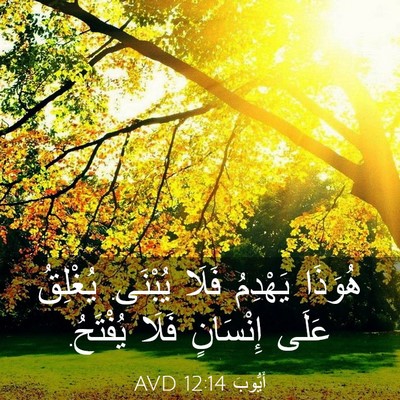Picture 03 - أَيُّوبَ 12:14 AVD - هُوَذَا يَهْدِمُ فَلَا - Bible Verse Picture