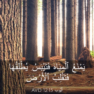 Picture 03 - أَيُّوبَ 12:15 AVD - يَمْنَعُ ٱلْمِيَاهَ - Bible Verse Picture