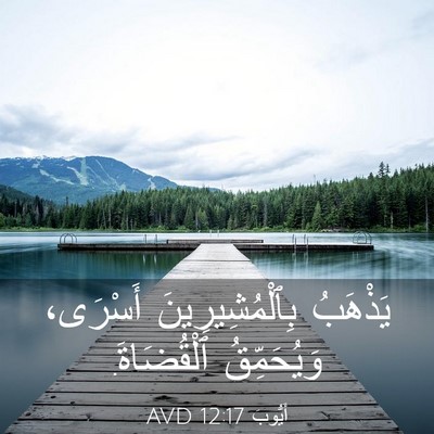 Picture 03 - أَيُّوبَ 12:17 AVD - يَذْهَبُ بِٱلْمُشِيرِينَ - Bible Verse Picture