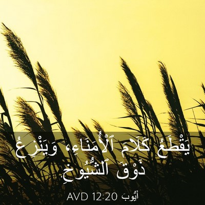 Picture 03 - أَيُّوبَ 12:20 AVD - يَقْطَعُ كَلَامَ - Bible Verse Picture