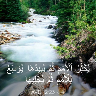Picture 03 - أَيُّوبَ 12:23 AVD - يُكَثِّرُ ٱلْأُمَمَ ثُمَّ - Bible Verse Picture
