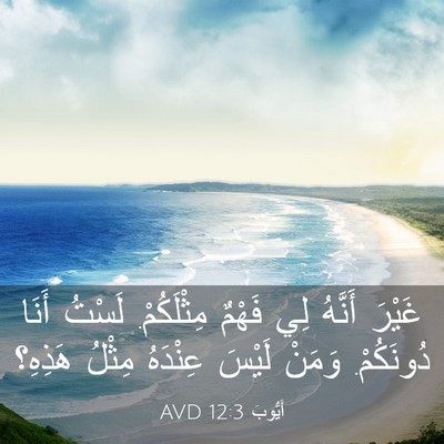 Picture 03 - أَيُّوبَ 12:3 AVD - غَيْرَ أَنَّهُ لِي فَهْمٌ - Bible Verse Picture