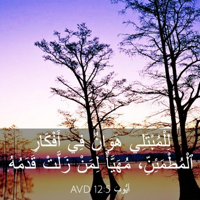 Picture 03 - أَيُّوبَ 12:5 AVD - لِلْمُبْتَلِي هَوَانٌ فِي - Bible Verse Picture
