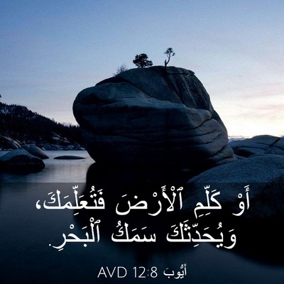 Picture 03 - أَيُّوبَ 12:8 AVD - أَوْ كَلِّمِ ٱلْأَرْضَ - Bible Verse Picture