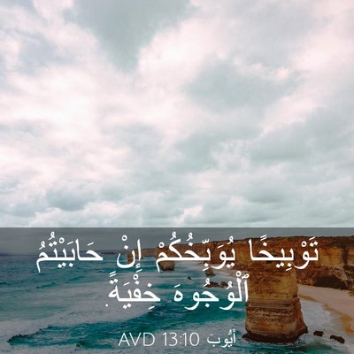 Picture 03 - أَيُّوبَ 13:10 AVD - تَوْبِيخًا يُوَبِّخُكُمْ - Bible Verse Picture
