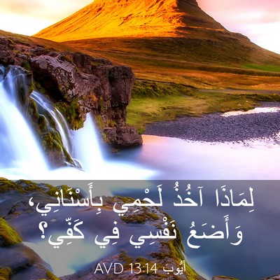 Picture 03 - أَيُّوبَ 13:14 AVD - لِمَاذَا آخُذُ لَحْمِي - Bible Verse Picture
