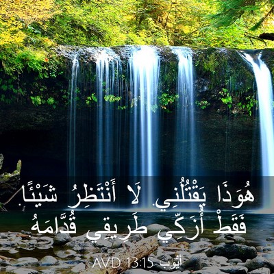 Picture 03 - أَيُّوبَ 13:15 AVD - هُوَذَا يَقْتُلُنِي. لَا - Bible Verse Picture