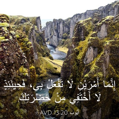 Picture 03 - أَيُّوبَ 13:20 AVD - إِنَّمَا أَمْرَيْنِ لَا - Bible Verse Picture