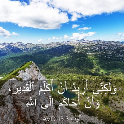 Picture 03 - أَيُّوبَ 13:3 AVD - وَلَكِنِّي أُرِيدُ أَنْ - Bible Verse Picture
