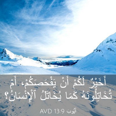 Picture 03 - أَيُّوبَ 13:9 AVD - أَخَيْرٌ لَكُمْ أَنْ - Bible Verse Picture