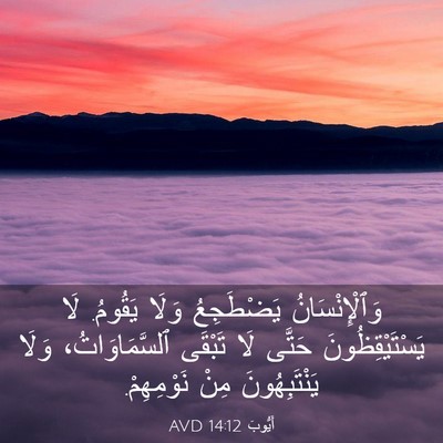 Picture 03 - أَيُّوبَ 14:12 AVD - وَٱلْإِنْسَانُ يَضْطَجِعُ - Bible Verse Picture