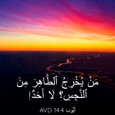 Picture 03 - أَيُّوبَ 14:4 AVD - مَنْ يُخْرِجُ ٱلطَّاهِرَ - Bible Verse Picture