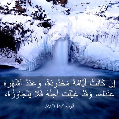 Picture 03 - أَيُّوبَ 14:5 AVD - إِنْ كَانَتْ أَيَّامُهُ - Bible Verse Picture