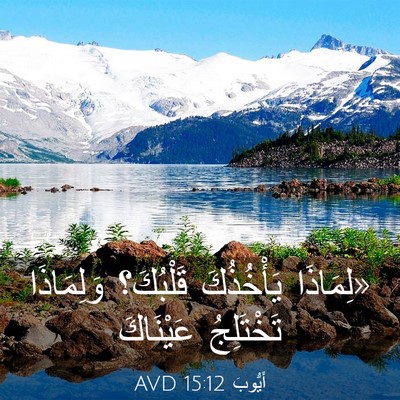 Picture 03 - أَيُّوبَ 15:12 AVD - «لِمَاذَا يَأْخُذُكَ - Bible Verse Picture