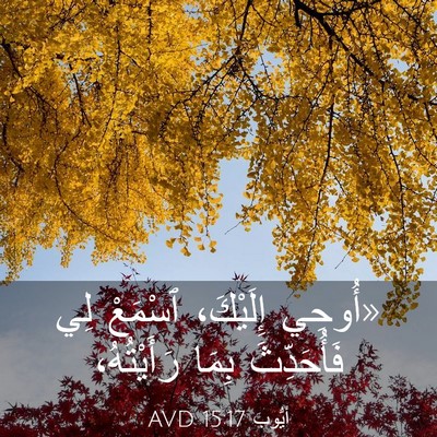 Picture 03 - أَيُّوبَ 15:17 AVD - «أُوحِي إِلَيْكَ، ٱسْمَعْ - Bible Verse Picture