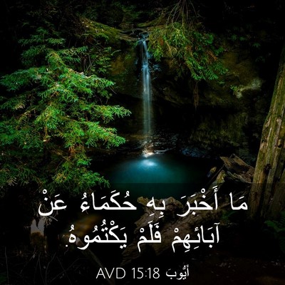 Picture 03 - أَيُّوبَ 15:18 AVD - مَا أَخْبَرَ بِهِ - Bible Verse Picture