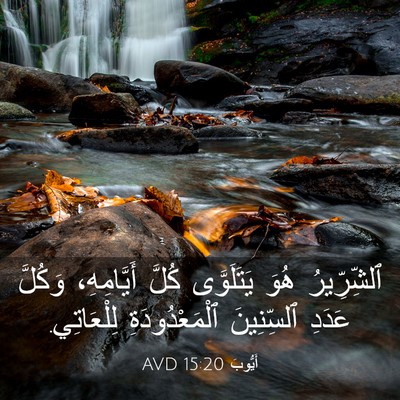 Picture 03 - أَيُّوبَ 15:20 AVD - ٱلشِّرِّيرُ هُوَ - Bible Verse Picture