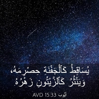 Picture 03 - أَيُّوبَ 15:33 AVD - يُسَاقِطُ كَٱلْجَفْنَةِ - Bible Verse Picture