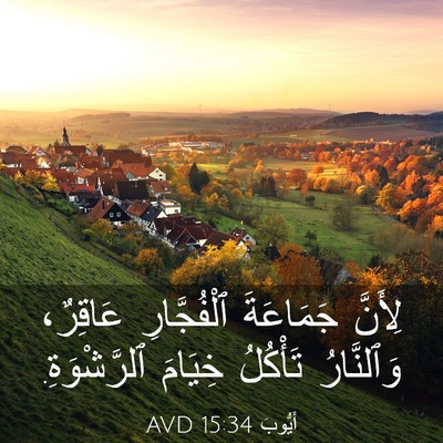 Picture 03 - أَيُّوبَ 15:34 AVD - لِأَنَّ جَمَاعَةَ - Bible Verse Picture