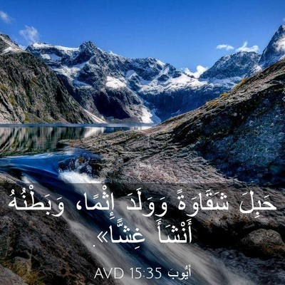 Picture 03 - أَيُّوبَ 15:35 AVD - حَبِلَ شَقَاوَةً وَوَلَدَ - Bible Verse Picture
