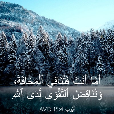 Picture 03 - أَيُّوبَ 15:4 AVD - أَمَّا أَنْتَ فَتُنَافِي - Bible Verse Picture