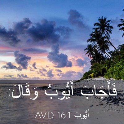 Picture 03 - أَيُّوبَ 16:1 AVD - فَأَجَابَ أَيُّوبُ - Bible Verse Picture