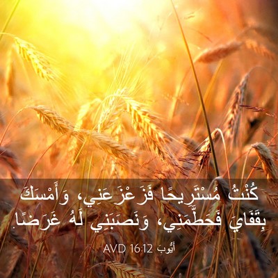 Picture 03 - أَيُّوبَ 16:12 AVD - كُنْتُ مُسْتَرِيحًا - Bible Verse Picture