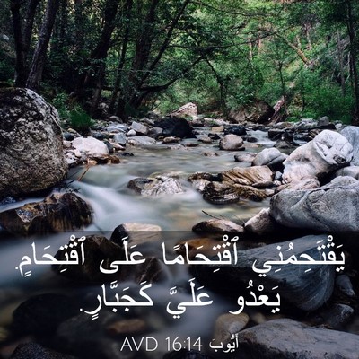 Picture 03 - أَيُّوبَ 16:14 AVD - يَقْتَحِمُنِي ٱقْتِحَامًا - Bible Verse Picture