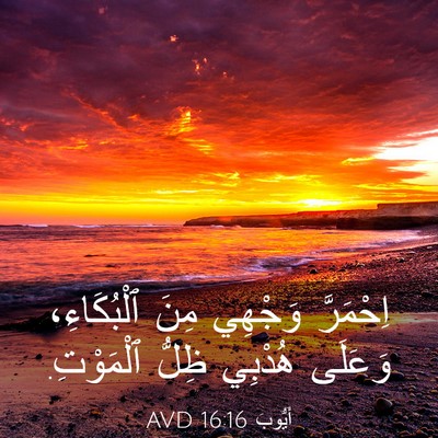 Picture 03 - أَيُّوبَ 16:16 AVD - اِحْمَرَّ وَجْهِي مِنَ - Bible Verse Picture