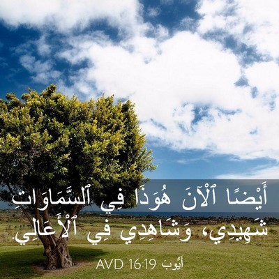 Picture 03 - أَيُّوبَ 16:19 AVD - أَيْضًا ٱلْآنَ هُوَذَا فِي - Bible Verse Picture