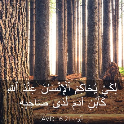 Picture 03 - أَيُّوبَ 16:21 AVD - لِكَيْ يُحَاكِمَ - Bible Verse Picture