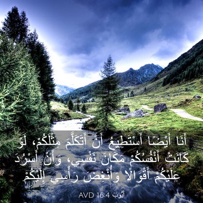 Picture 03 - أَيُّوبَ 16:4 AVD - أَنَا أَيْضًا أَسْتَطِيعُ - Bible Verse Picture