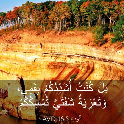 Picture 03 - أَيُّوبَ 16:5 AVD - بَلْ كُنْتُ أُشَدِّدُكُمْ - Bible Verse Picture
