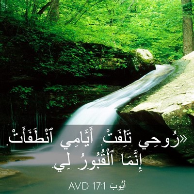Picture 03 - أَيُّوبَ 17:1 AVD - «رُوحِي تَلِفَتْ. - Bible Verse Picture