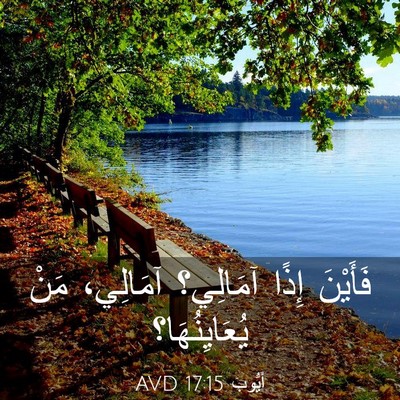 Picture 03 - أَيُّوبَ 17:15 AVD - فَأَيْنَ إِذًا آمَالِي؟ - Bible Verse Picture