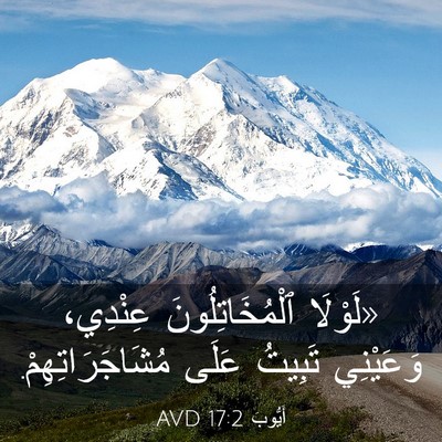 Picture 03 - أَيُّوبَ 17:2 AVD - «لَوْلَا ٱلْمُخَاتِلُونَ - Bible Verse Picture