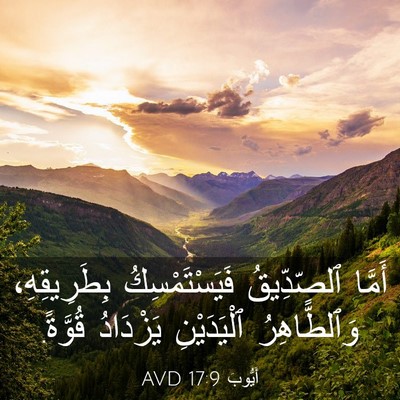 Picture 03 - أَيُّوبَ 17:9 AVD - أَمَّا ٱلصِّدِّيقُ - Bible Verse Picture