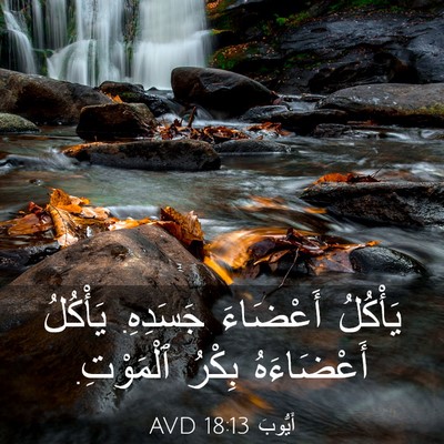 Picture 03 - أَيُّوبَ 18:13 AVD - يَأْكُلُ أَعْضَاءَ - Bible Verse Picture