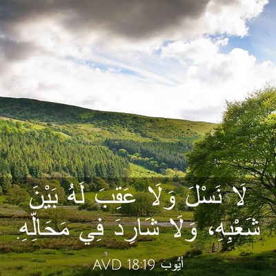 Picture 03 - أَيُّوبَ 18:19 AVD - لَا نَسْلَ وَلَا عَقِبَ - Bible Verse Picture