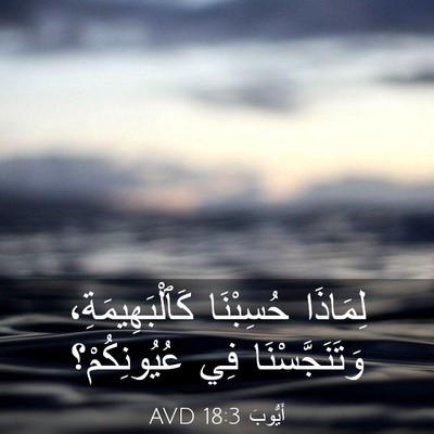Picture 03 - أَيُّوبَ 18:3 AVD - لِمَاذَا حُسِبْنَا - Bible Verse Picture