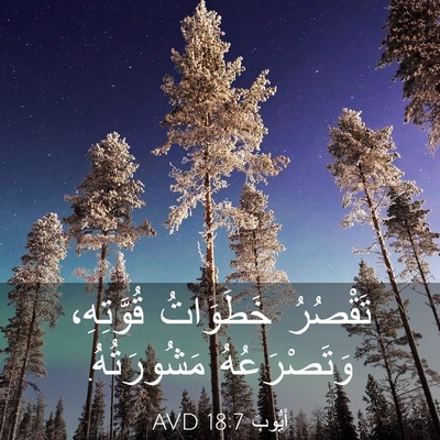 Picture 03 - أَيُّوبَ 18:7 AVD - تَقْصُرُ خَطَوَاتُ - Bible Verse Picture