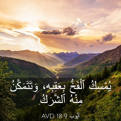 Picture 03 - أَيُّوبَ 18:9 AVD - يُمْسِكُ ٱلْفَخُّ - Bible Verse Picture