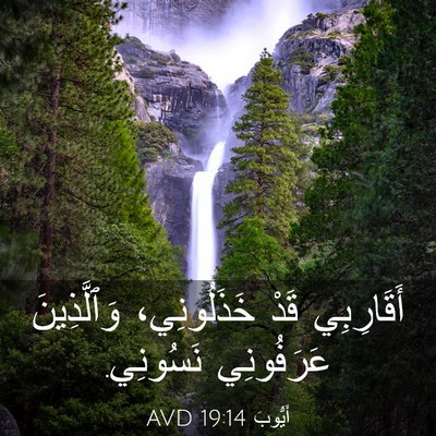 Picture 03 - أَيُّوبَ 19:14 AVD - أَقَارِبِي قَدْ - Bible Verse Picture