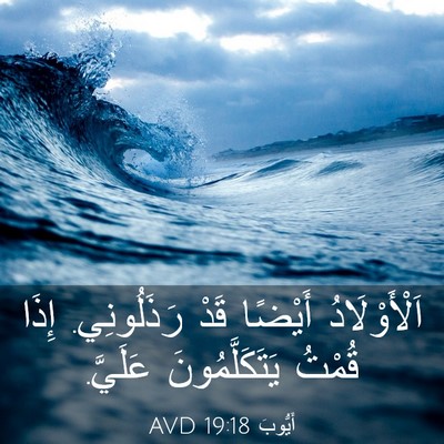 Picture 03 - أَيُّوبَ 19:18 AVD - اَلْأَوْلَادُ أَيْضًا - Bible Verse Picture