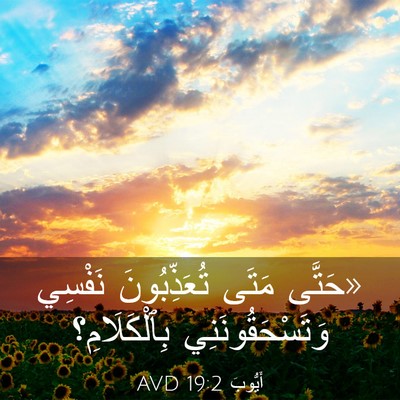 Picture 03 - أَيُّوبَ 19:2 AVD - «حَتَّى مَتَى - Bible Verse Picture